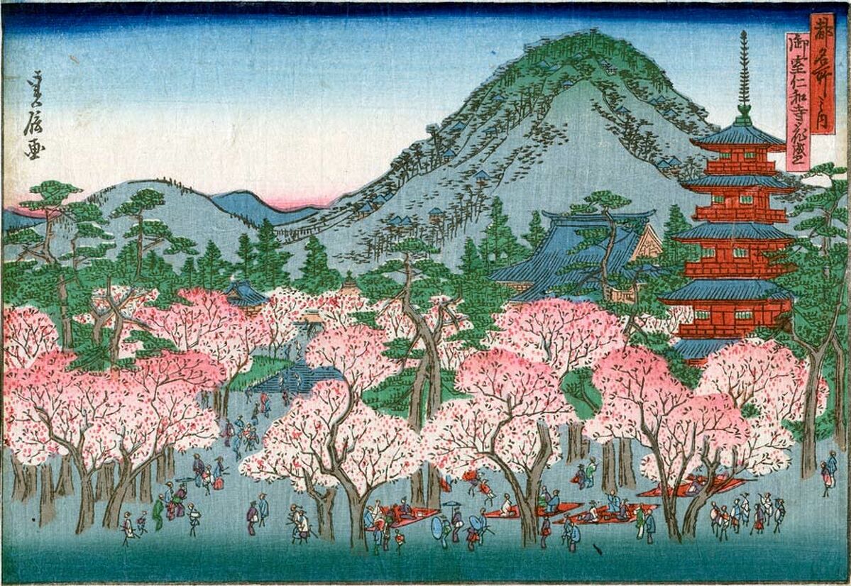 Hasegawa Sadanobu I (1809–1879) Kirschblüte am Ninna-ji-Tempel in Omuro aus der Serie »Berühmte Orte in der Hauptstadt« 1870–1871, Holzschnitt, Foto: Görlitzer Sammlungen