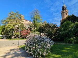 Pfingsten im Museum